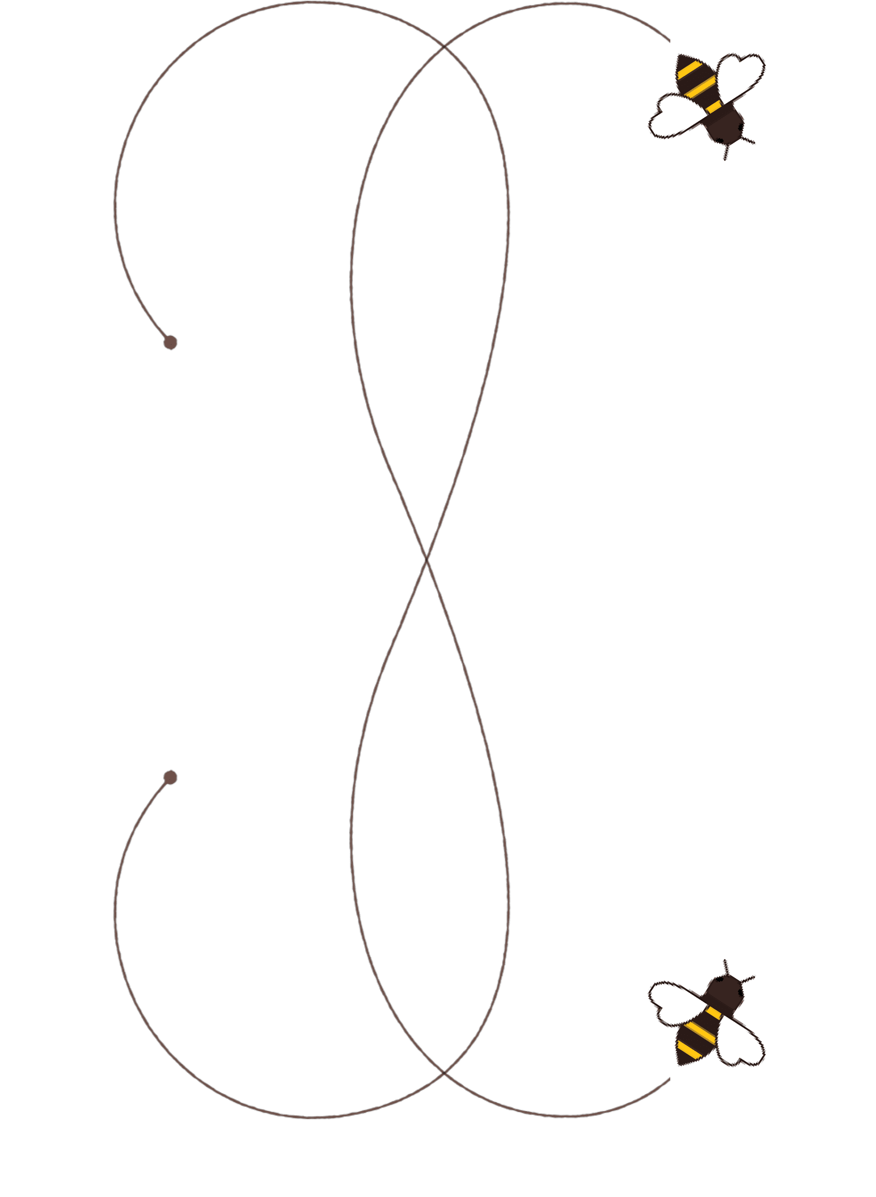 shape